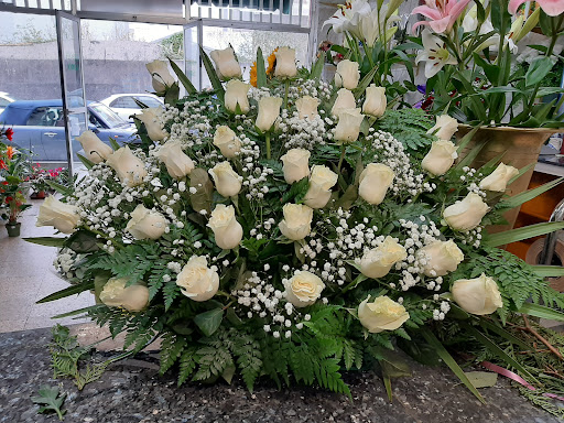 Flores Jorge