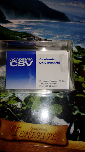 CSV Academia Universitaria
