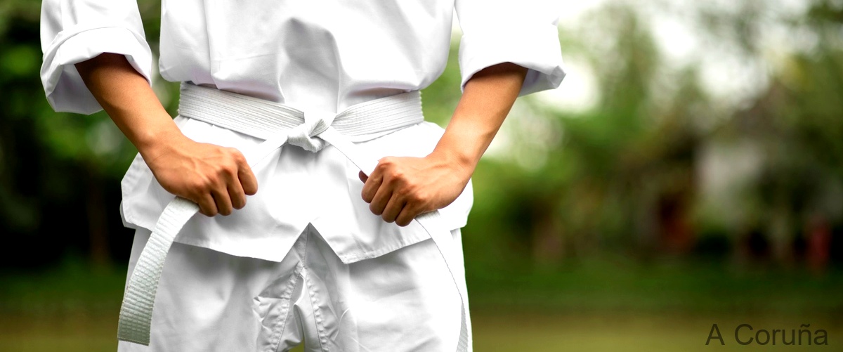 Las 5 mejores clases de Taekwondo en A Coruña