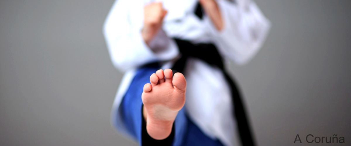 Las mejores Escuelas de Aikido en A Coruña